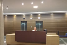 Paulista T. Center